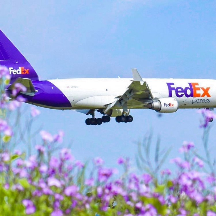 FedEx國際快遞官網(wǎng)