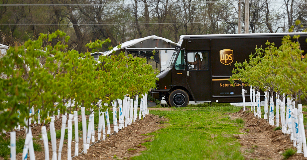 UPS寄件需要哪些資料？UPS寄件指南