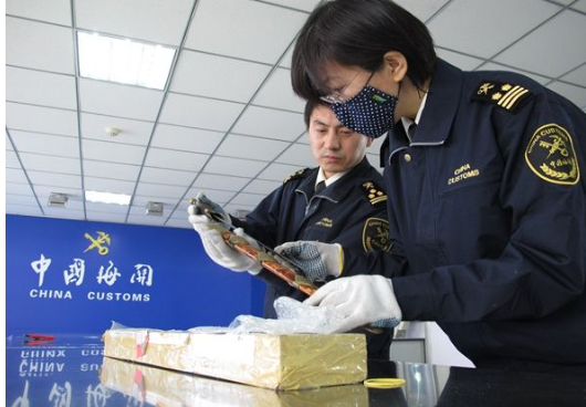 自己報(bào)關(guān)和貨代報(bào)關(guān)哪個(gè)劃算？